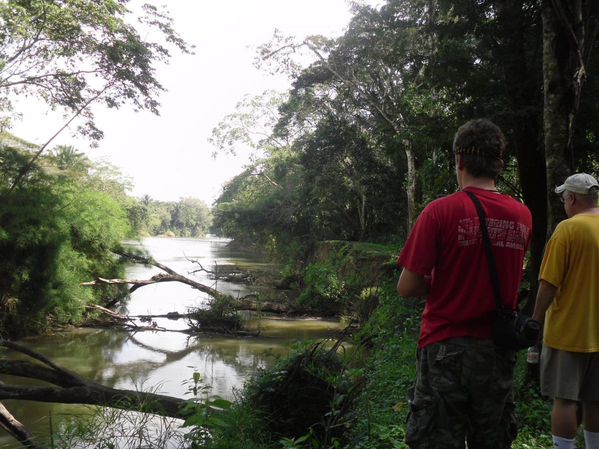 Lower Dover Jungle Lodge & Maya Ruins Unitedville Ngoại thất bức ảnh