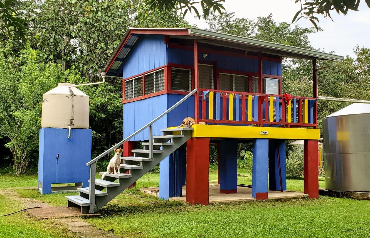 Lower Dover Jungle Lodge & Maya Ruins Unitedville Ngoại thất bức ảnh