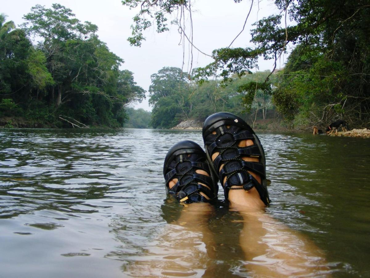 Lower Dover Jungle Lodge & Maya Ruins Unitedville Ngoại thất bức ảnh