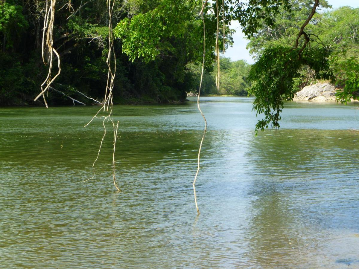 Lower Dover Jungle Lodge & Maya Ruins Unitedville Ngoại thất bức ảnh