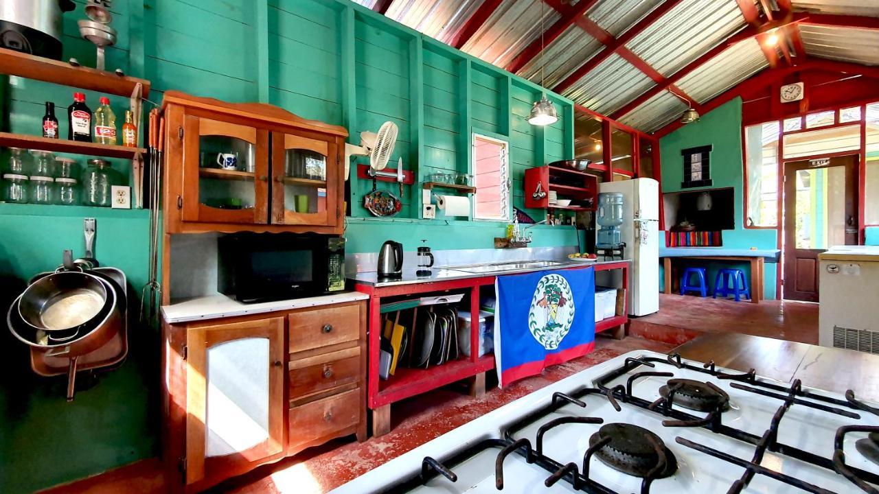 Lower Dover Jungle Lodge & Maya Ruins Unitedville Ngoại thất bức ảnh
