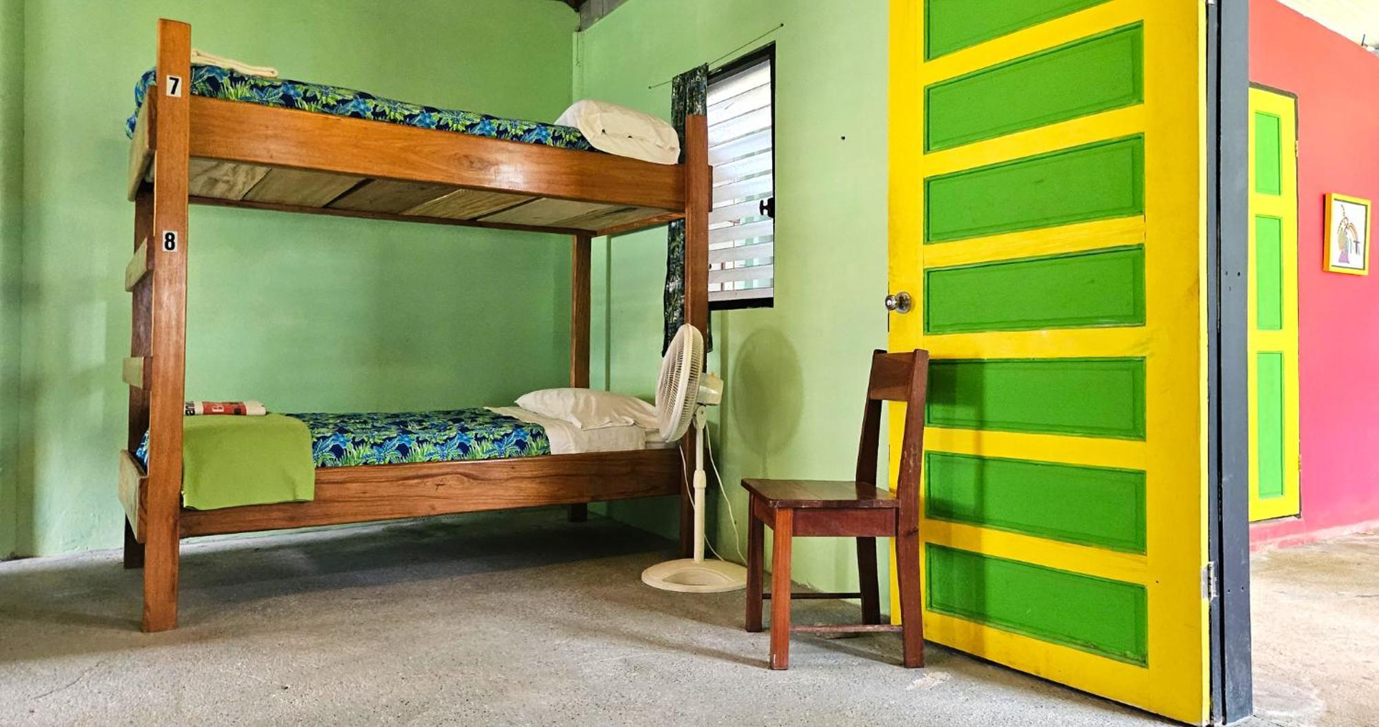 Lower Dover Jungle Lodge & Maya Ruins Unitedville Phòng bức ảnh