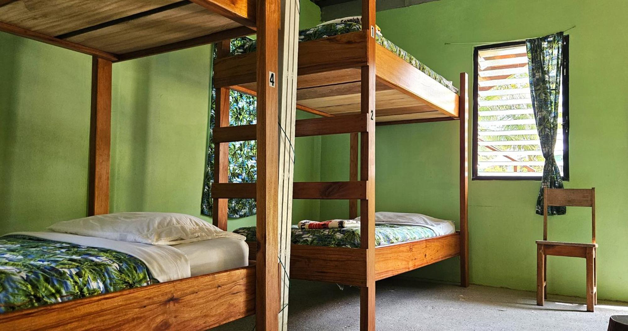 Lower Dover Jungle Lodge & Maya Ruins Unitedville Phòng bức ảnh