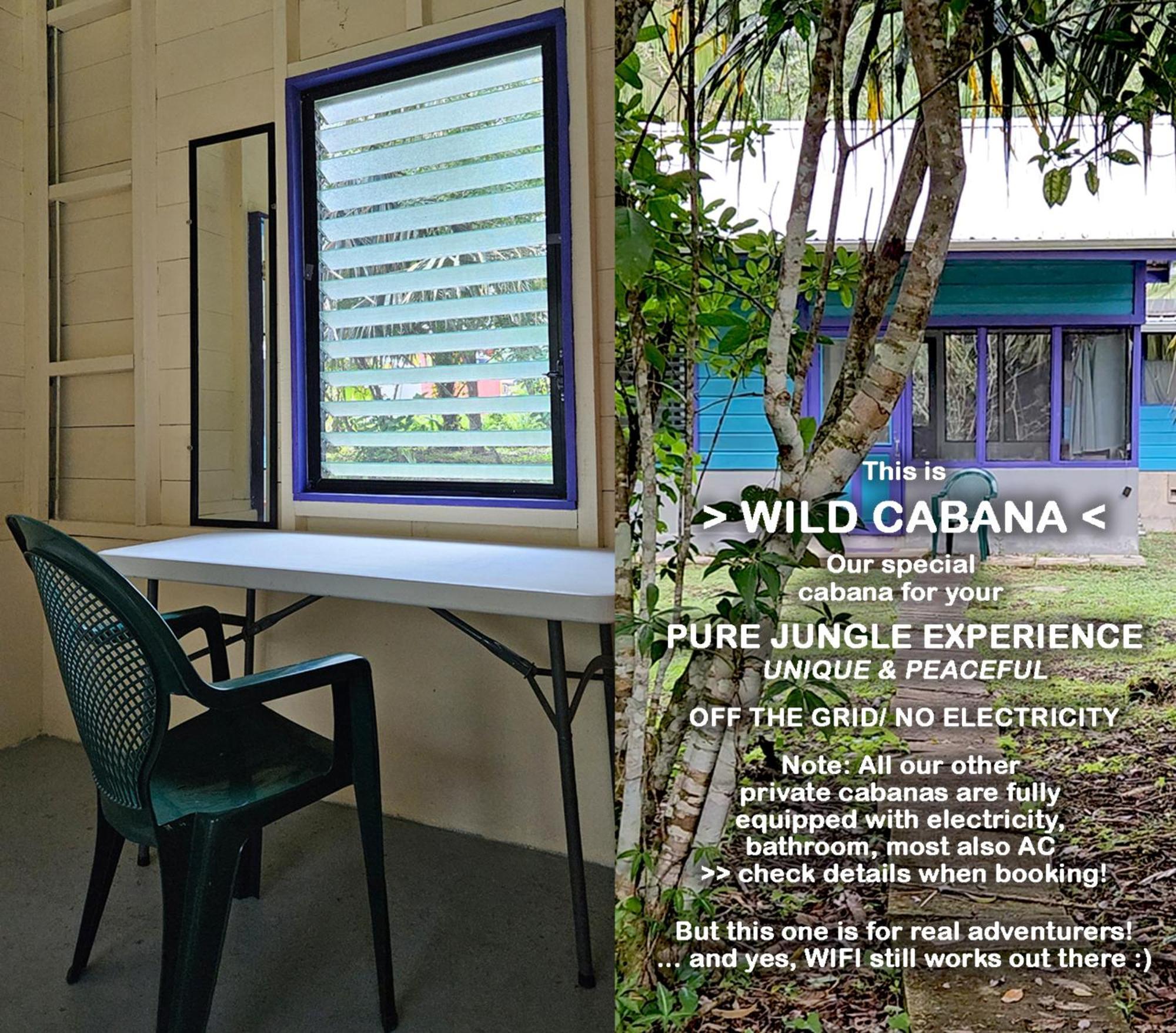 Lower Dover Jungle Lodge & Maya Ruins Unitedville Phòng bức ảnh