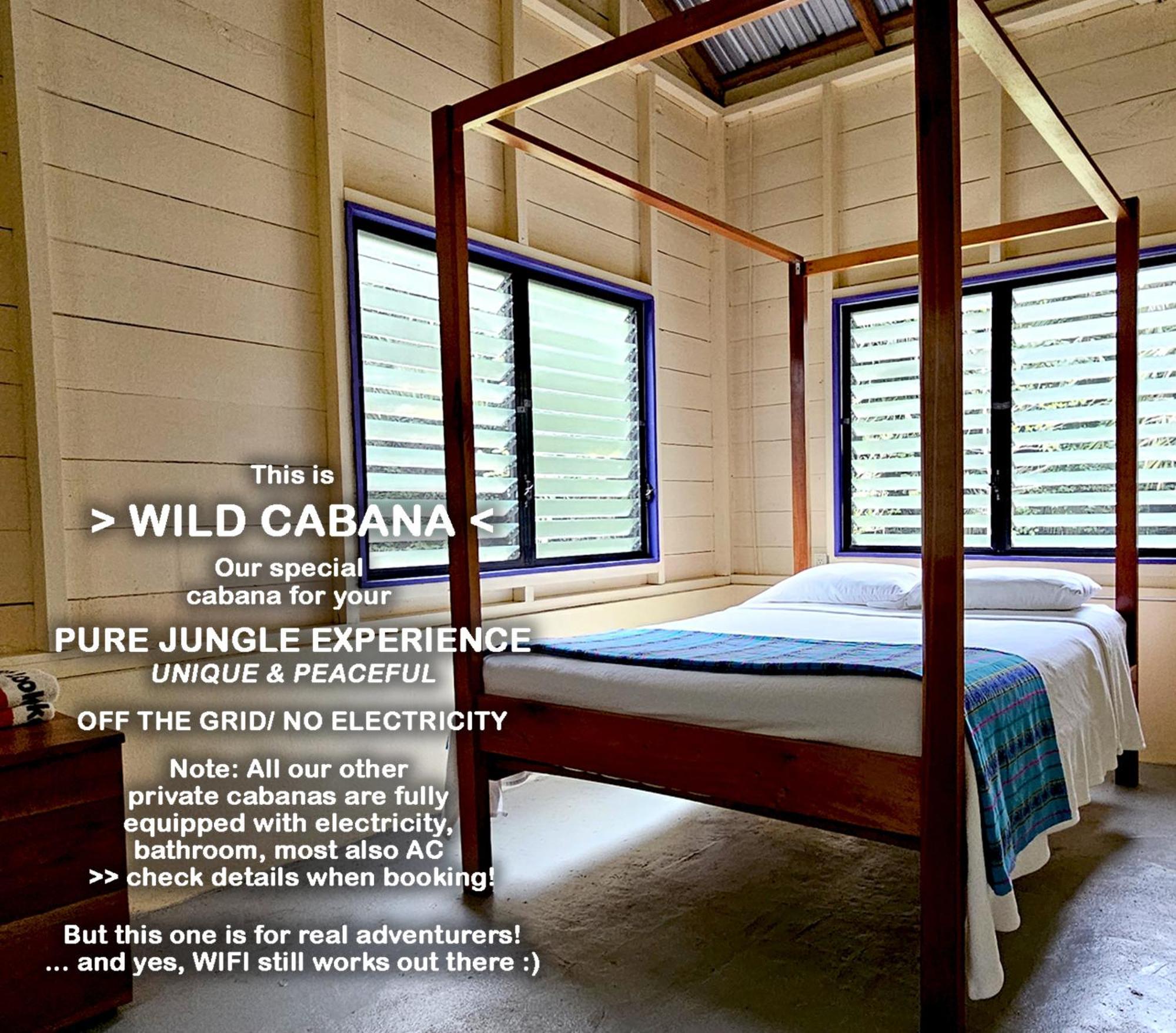 Lower Dover Jungle Lodge & Maya Ruins Unitedville Phòng bức ảnh