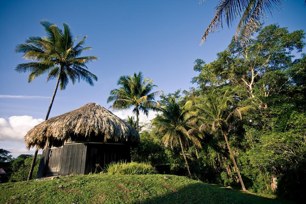 Lower Dover Jungle Lodge & Maya Ruins Unitedville Ngoại thất bức ảnh