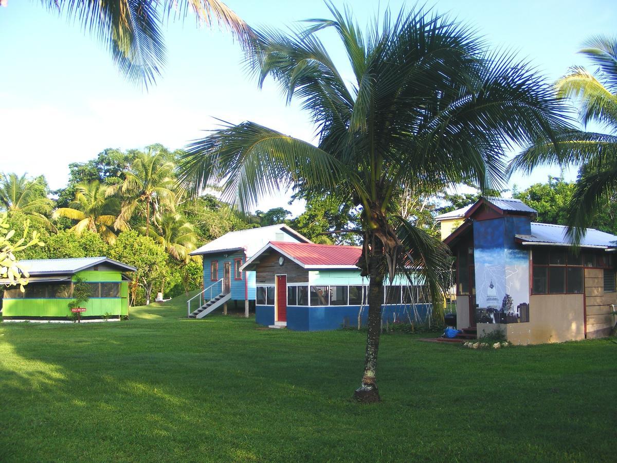 Lower Dover Jungle Lodge & Maya Ruins Unitedville Ngoại thất bức ảnh