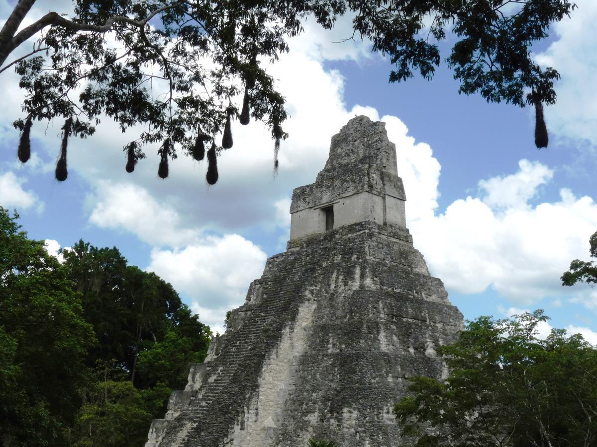 Lower Dover Jungle Lodge & Maya Ruins Unitedville Ngoại thất bức ảnh