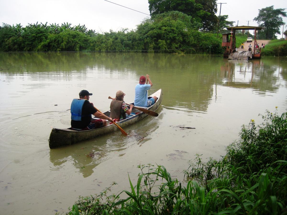 Lower Dover Jungle Lodge & Maya Ruins Unitedville Ngoại thất bức ảnh