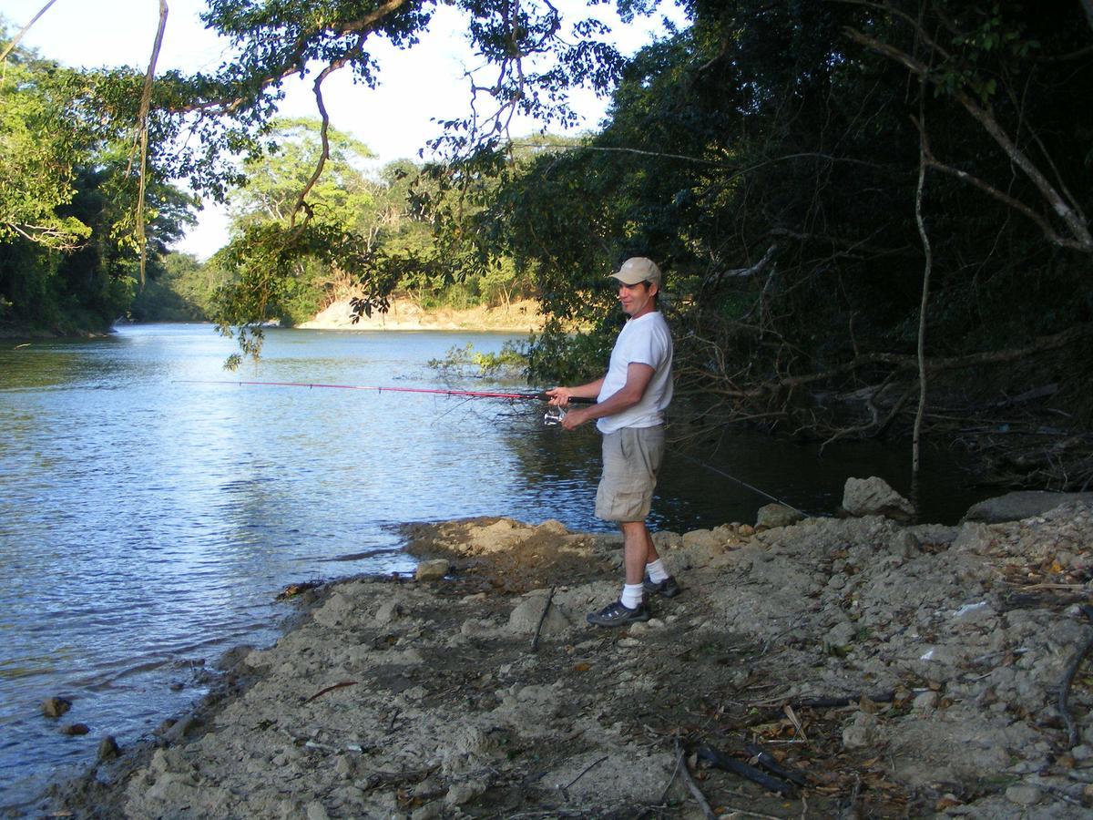 Lower Dover Jungle Lodge & Maya Ruins Unitedville Ngoại thất bức ảnh