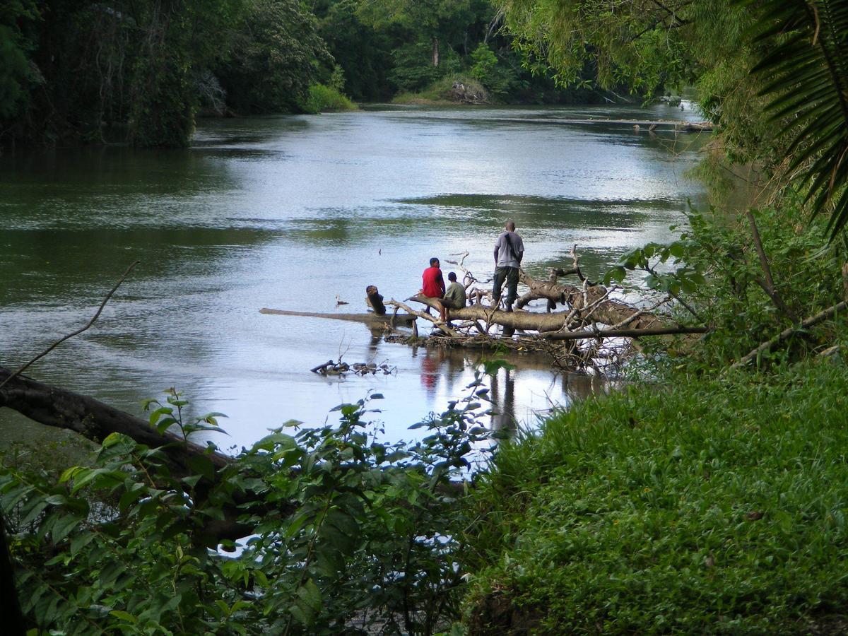 Lower Dover Jungle Lodge & Maya Ruins Unitedville Ngoại thất bức ảnh